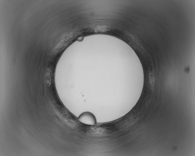 X0000116030311200912111422