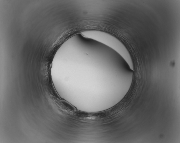 X0000116030312200912111422