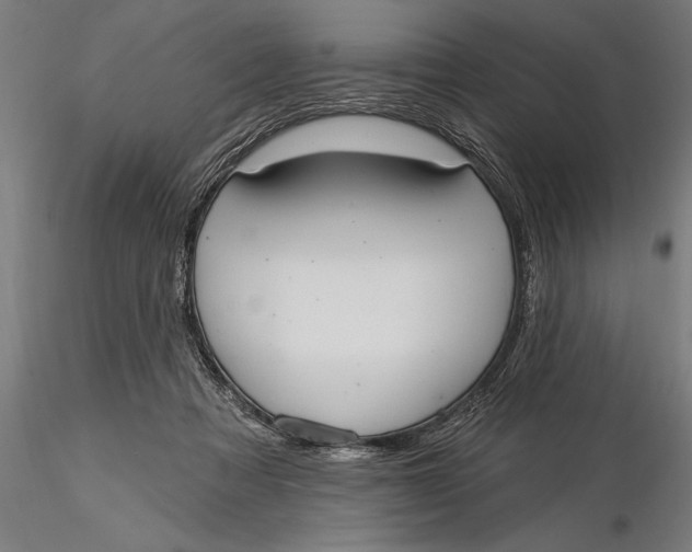 X0000116030313200912111422