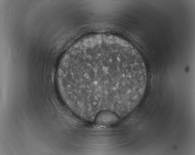 X0000116030315200912111422