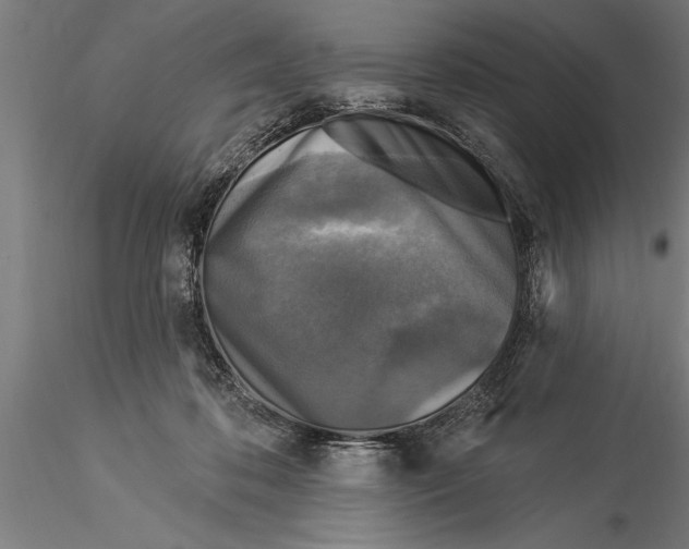 X0000116030316200912111422