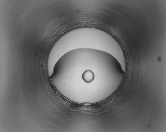 X0000116030317200912111422