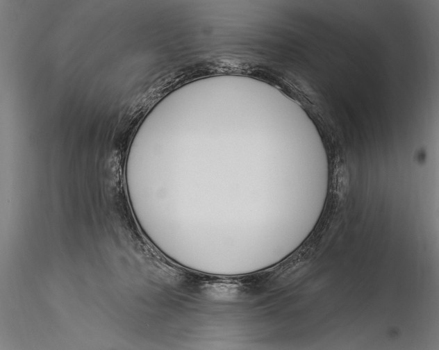 X0000116030318200912111422