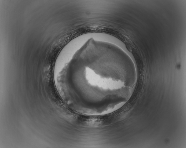 X0000116030319200912111422