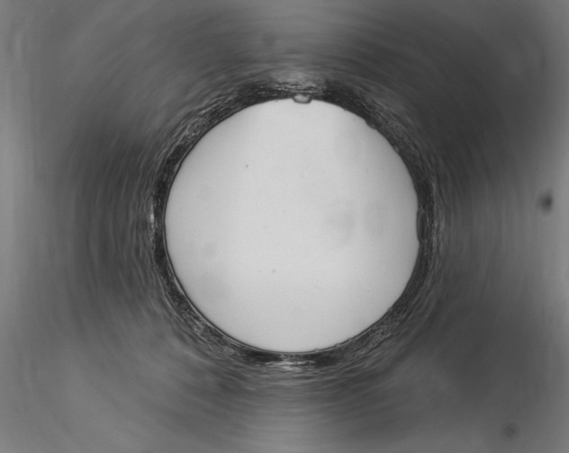 X0000116030320200912111422