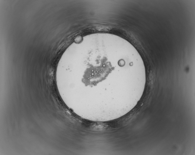 X0000116030321200912111422