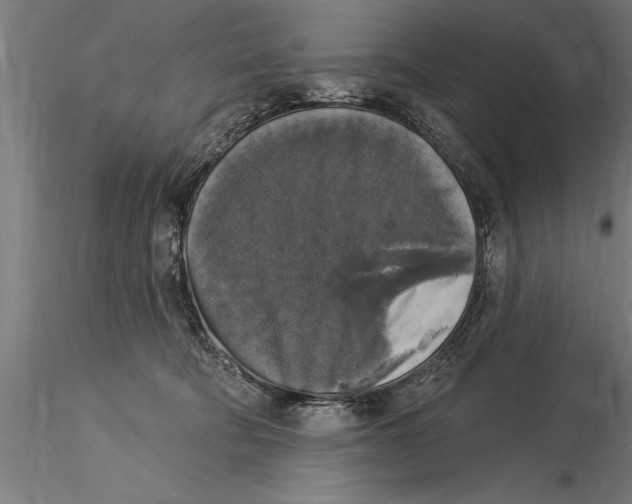 X0000116030322200912111422