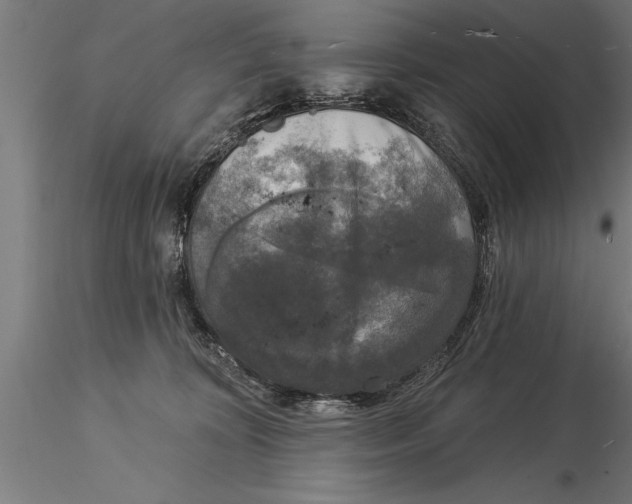 X0000116030324200912111422