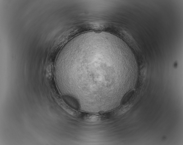 X0000116030325200912111422