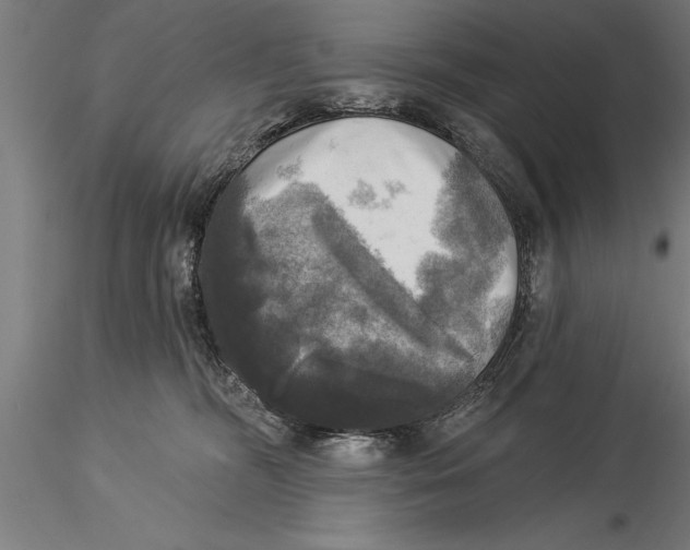 X0000116030326200912111422