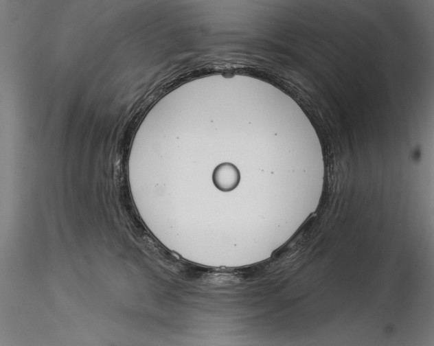 X0000116030327200912111422