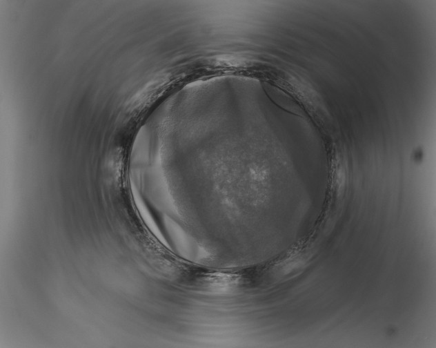 X0000116030328200912111422