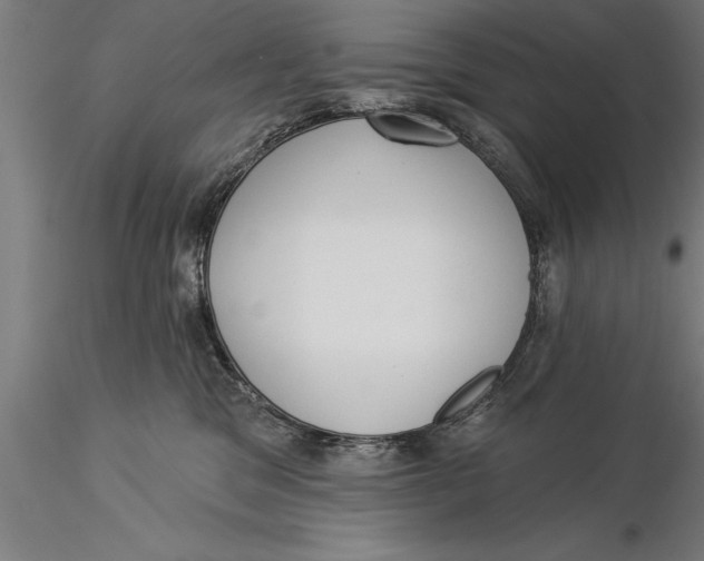 X0000116030329200912111421