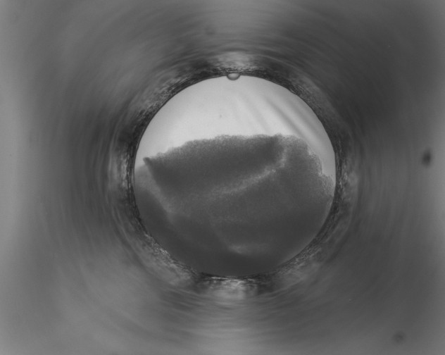 X0000116030330200912111421