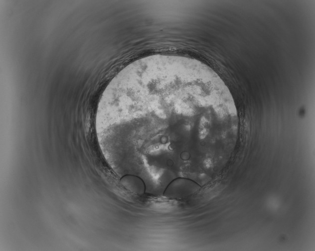 X0000116030331200912111421