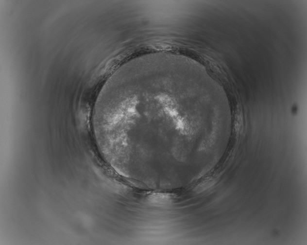 X0000116030332200912111421