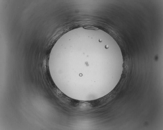 X0000116030333200912111421