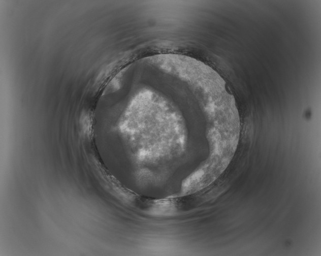 X0000116030335200912111421