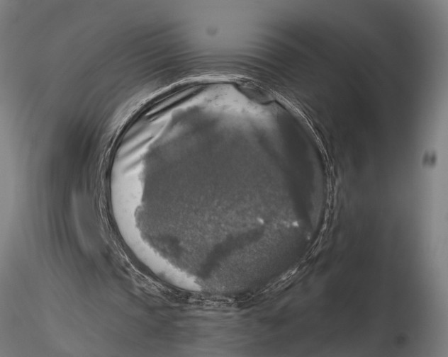 X0000116030337200912111421