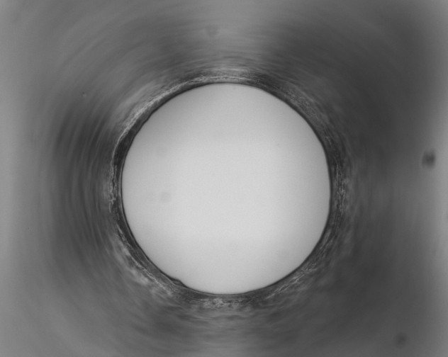 X0000116030338200912111421