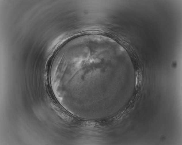 X0000116030339200912111421