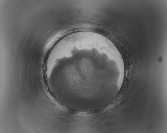 X0000116030341200912111421