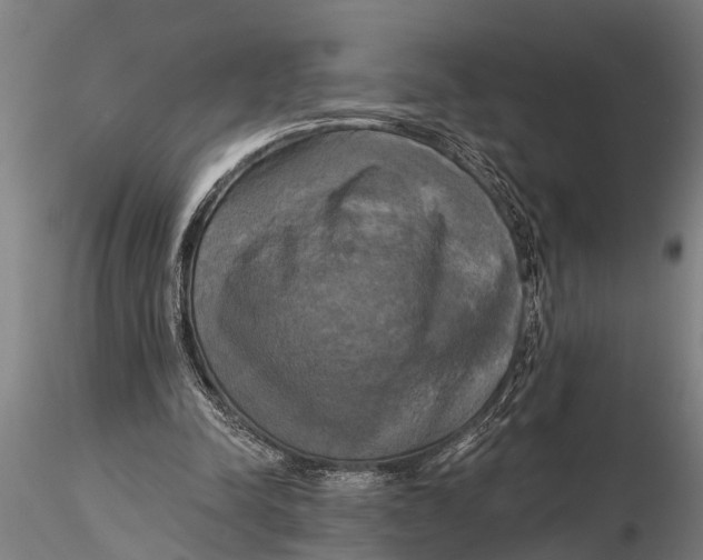 X0000116030342200912111421