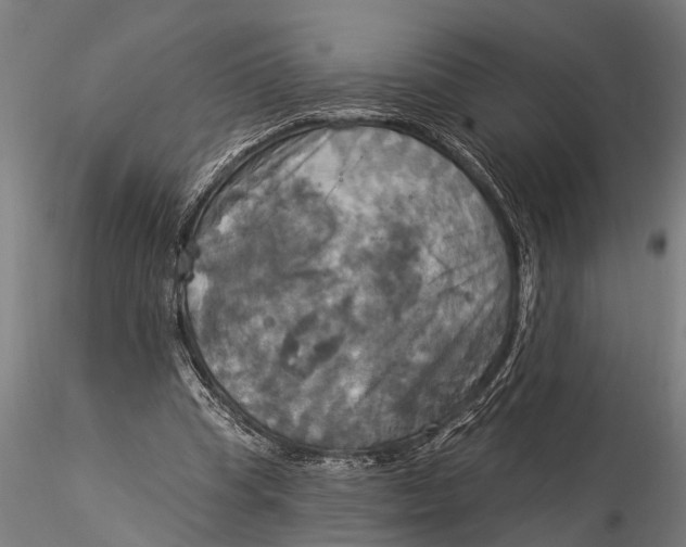 X0000116030345200912111421