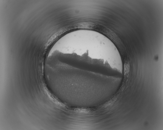 X0000116030349200912111421