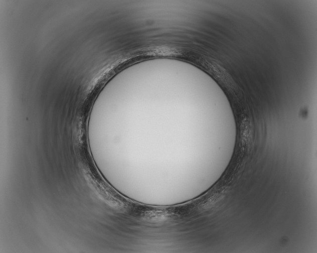 X0000116030351200912111421