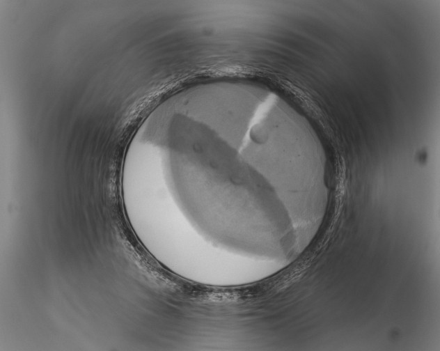 X0000116030353200912111421