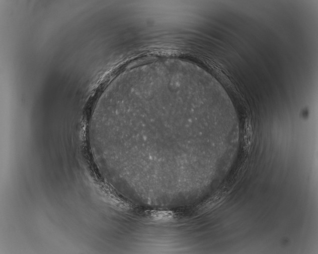 X0000116030355200912111421