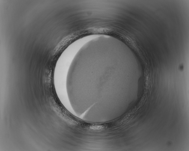 X0000116030357200912111421