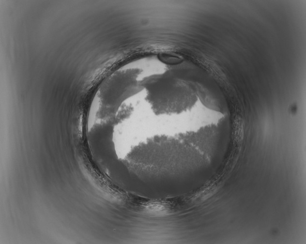 X0000116030358200912111421