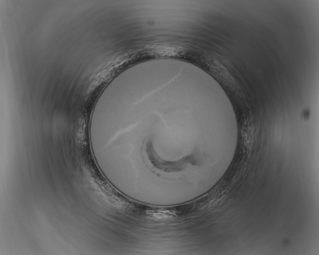 X0000116030359200912111421