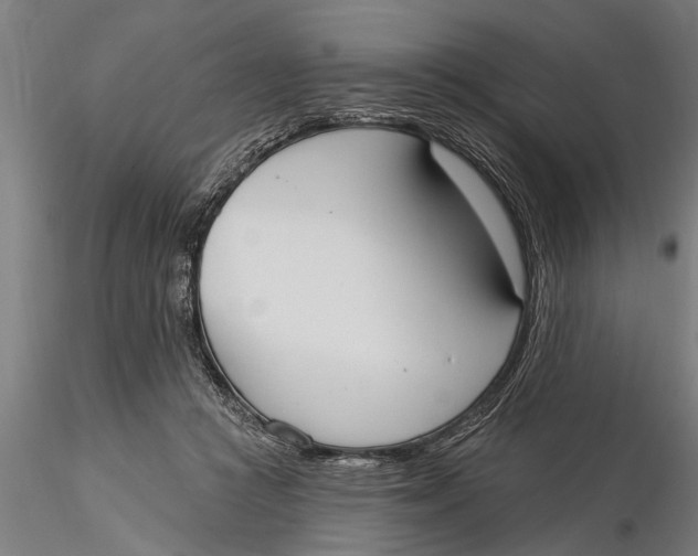 X0000116030361200912111421