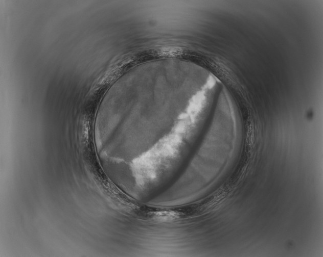 X0000116030363200912111421