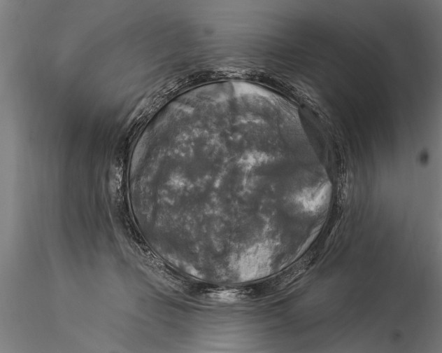 X0000116030365200912111421