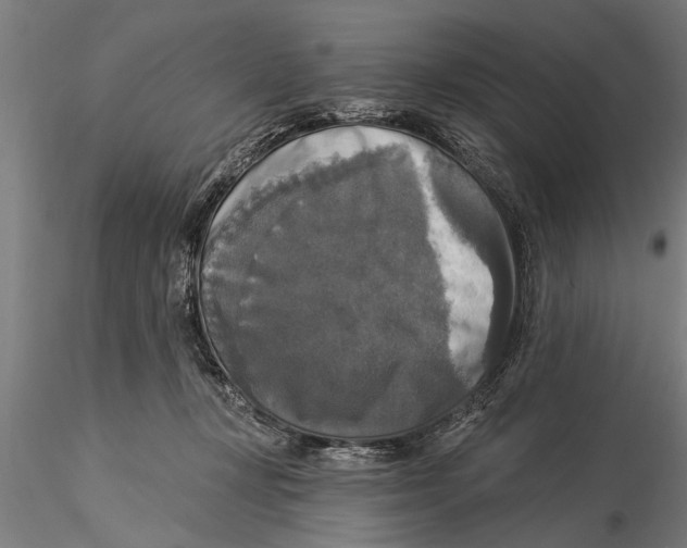 X0000116030367200912111421