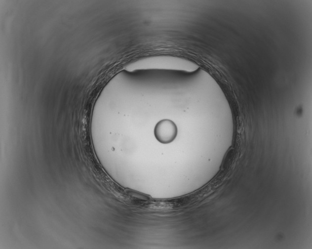 X0000116030369200912111421