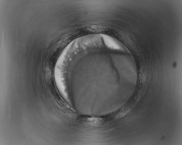 X0000116030371200912111421