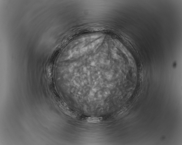 X0000116030373200912111421