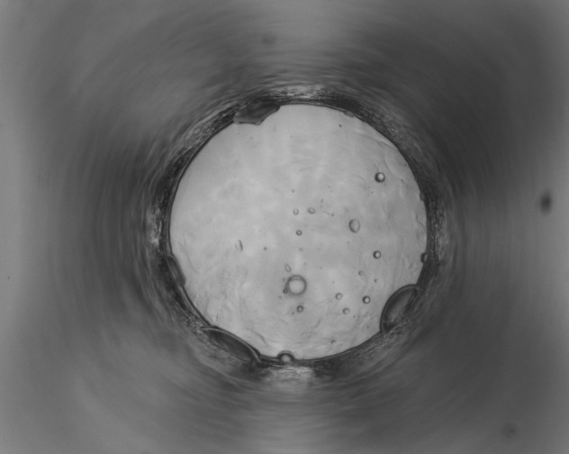 X0000116030374200912111421