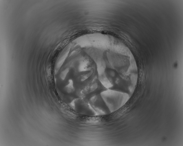 X0000116030377200912111421