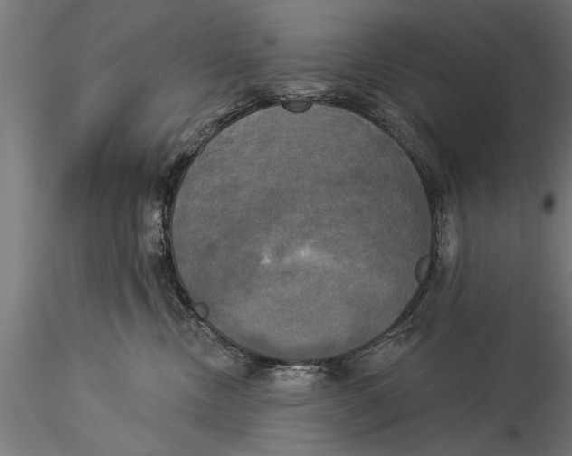 X0000116030378200912111421