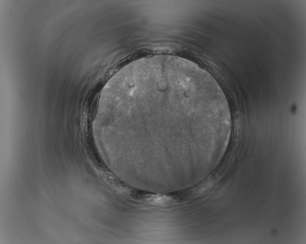 X0000116030379200912111421