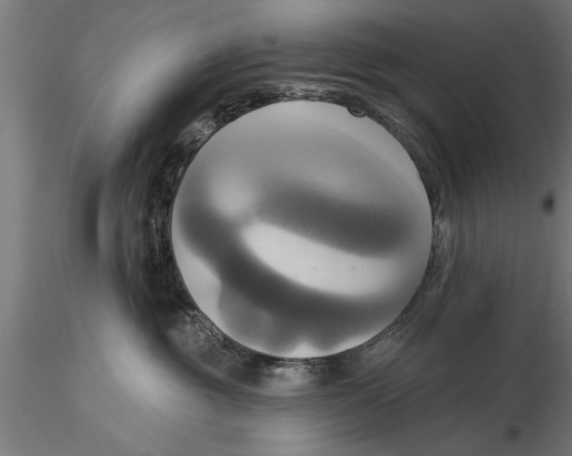 X0000116030381200912111421