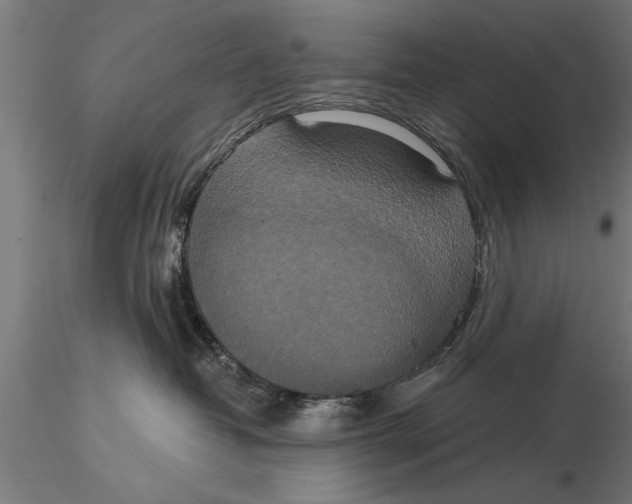 X0000116030382200912111421