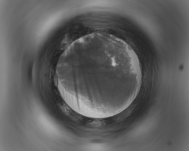 X0000116030383200912111421