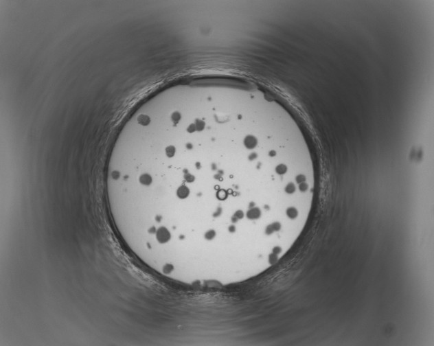 X0000116030385200912111421